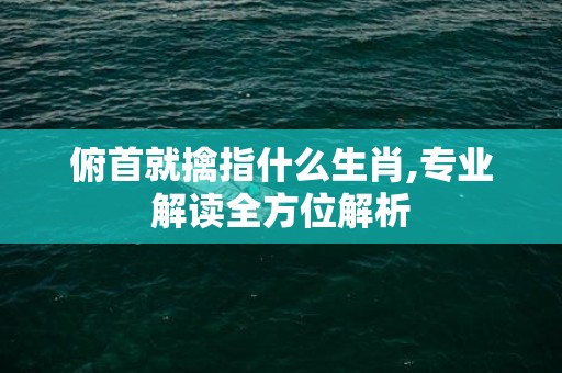 俯首就擒指什么生肖,专业解读全方位解析