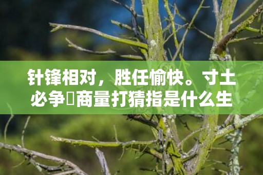 针锋相对，胜任愉快。寸土必争冇商量打猜指是什么生肖,字典详解全面解读