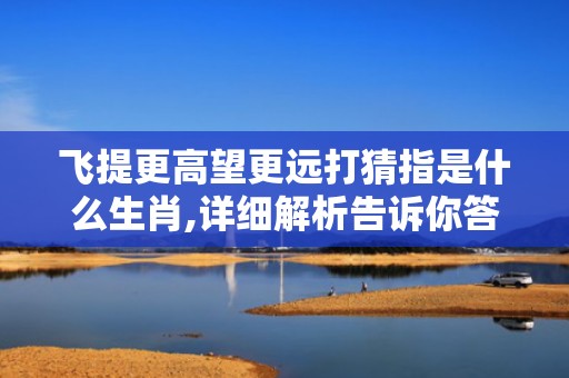 飞提更高望更远打猜指是什么生肖,详细解析告诉你答案