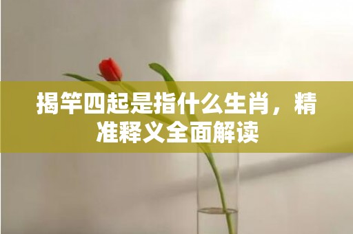 揭竿四起是指什么生肖，精准释义全面解读