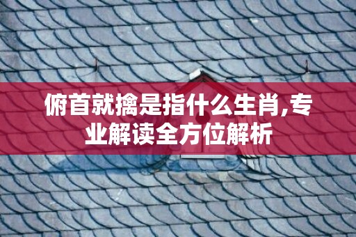 俯首就擒是指什么生肖,专业解读全方位解析