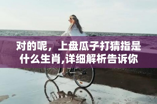 对的呢，上盘瓜子打猜指是什么生肖,详细解析告诉你答案