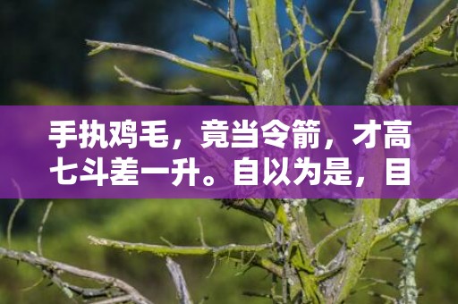 手执鸡毛，竟当令箭，才高七斗差一升。自以为是，目光短浅！分猴奋起千钧棒。打猜指是什么生肖,字典详解全面解读