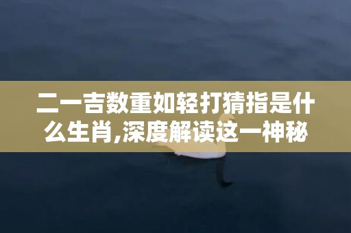 二一吉数重如轻打猜指是什么生肖,深度解读这一神秘词汇
