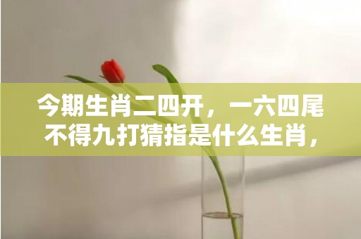 今期生肖二四开，一六四尾不得九打猜指是什么生肖，精准回答精准落地