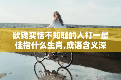 欲钱买恬不知耻的人打一最佳指什么生肖,成语含义深度解读