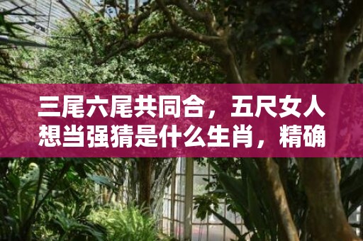 三尾六尾共同合，五尺女人想当强猜是什么生肖，精确解读落实