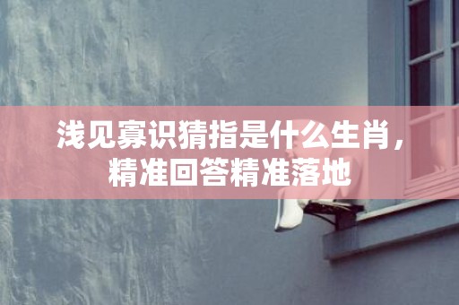 浅见寡识猜指是什么生肖，精准回答精准落地