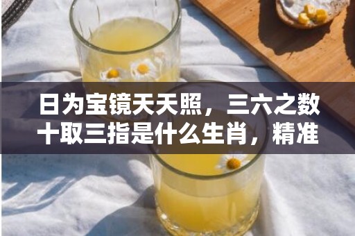 日为宝镜天天照，三六之数十取三指是什么生肖，精准回答精准落地
