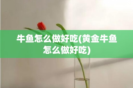 牛鱼怎么做好吃(黄金牛鱼怎么做好吃)