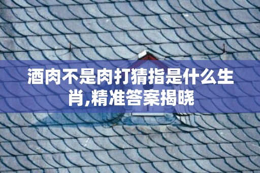 酒肉不是肉打猜指是什么生肖,精准答案揭晓