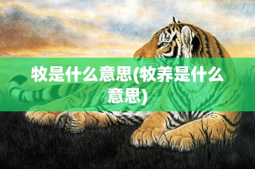 牧是什么意思(牧养是什么意思)