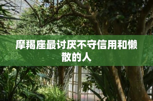 摩羯座最讨厌不守信用和懒散的人