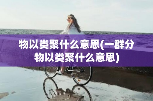 物以类聚什么意思(一群分物以类聚什么意思)