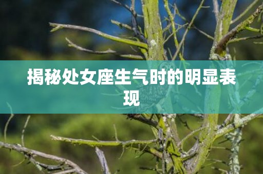 揭秘处女座生气时的明显表现