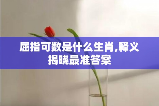 屈指可数是什么生肖,释义揭晓最准答案