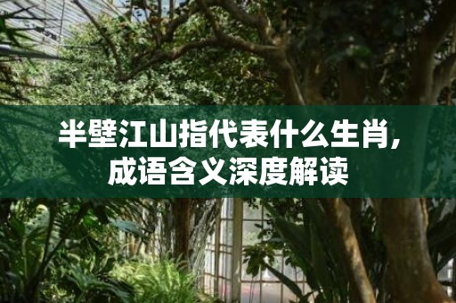 半壁江山指代表什么生肖,成语含义深度解读