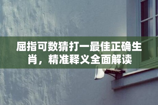 屈指可数猜打一最佳正确生肖，精准释义全面解读