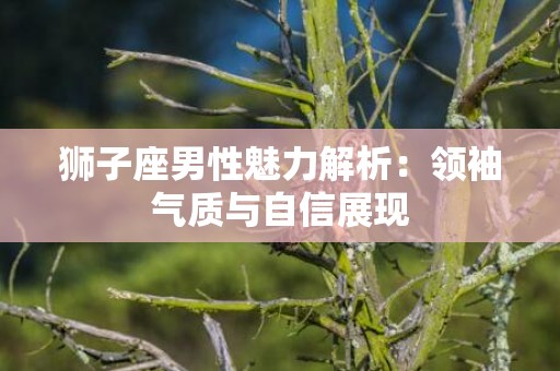 狮子座男性魅力解析：领袖气质与自信展现