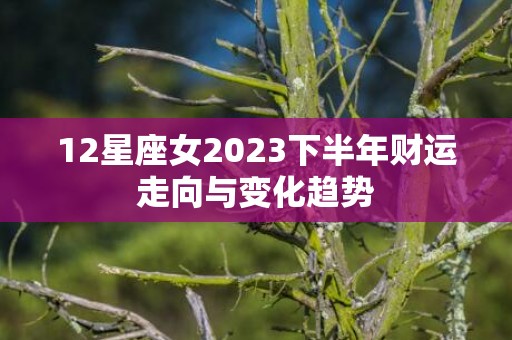 12星座女2023下半年财运走向与变化趋势