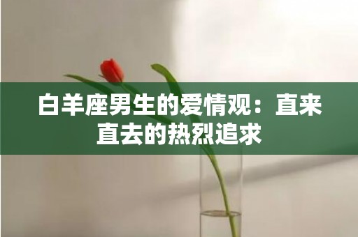 白羊座男生的爱情观：直来直去的热烈追求