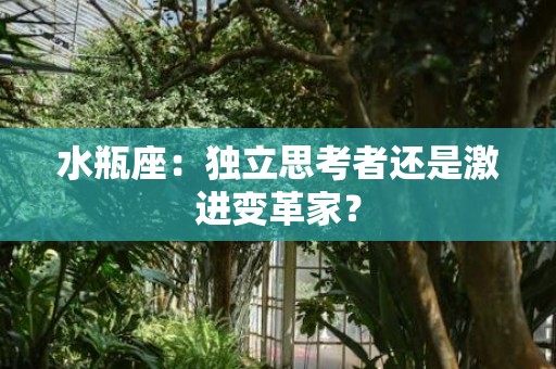 水瓶座：独立思考者还是激进变革家？