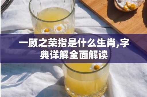 一顾之荣指是什么生肖,字典详解全面解读