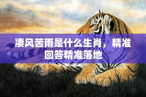 凄风苦雨是什么生肖，精准回答精准落地