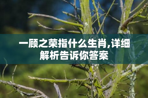 一顾之荣指什么生肖,详细解析告诉你答案