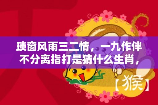 琐窗风雨三二情，一九作伴不分离指打是猜什么生肖，精准回答精准落地