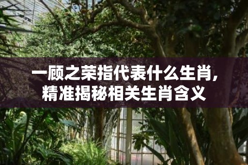 一顾之荣指代表什么生肖,精准揭秘相关生肖含义