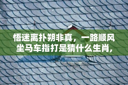 悟迷离扑朔非真，一路顺风坐马车指打是猜什么生肖,精准揭秘相关生肖含义