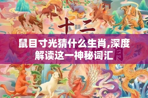 鼠目寸光猜什么生肖,深度解读这一神秘词汇