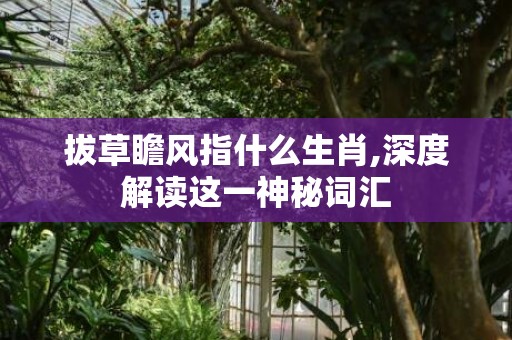 拔草瞻风指什么生肖,深度解读这一神秘词汇