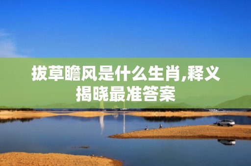 拔草瞻风是什么生肖,释义揭晓最准答案