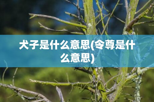 犬子是什么意思(令尊是什么意思)