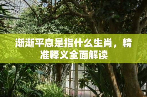 渐渐平息是指什么生肖，精准释义全面解读