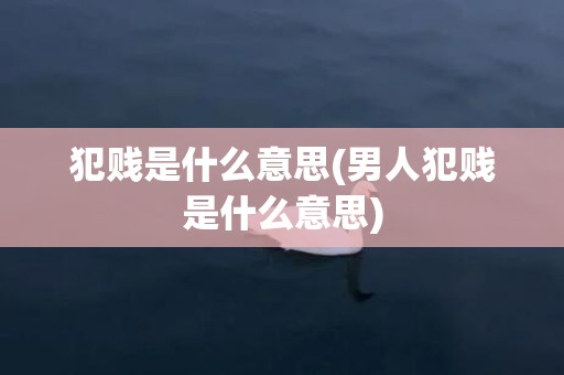 犯贱是什么意思(男人犯贱是什么意思)