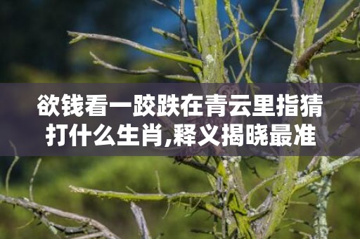 欲钱看一跤跌在青云里指猜打什么生肖,释义揭晓最准答案