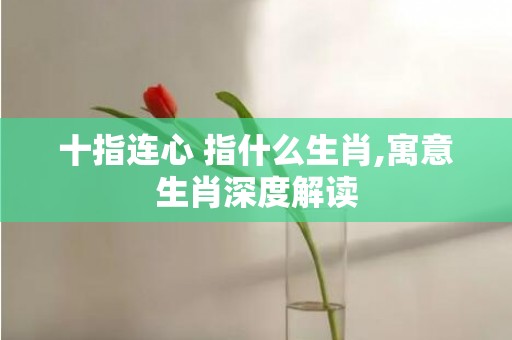 十指连心 指什么生肖,寓意生肖深度解读