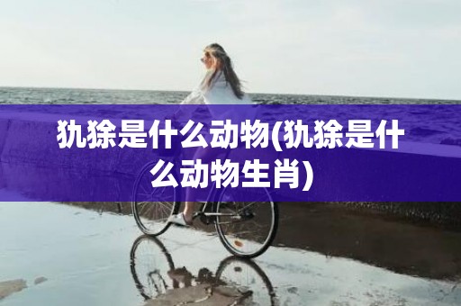 犰狳是什么动物(犰狳是什么动物生肖)
