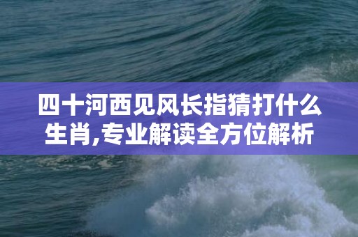 四十河西见风长指猜打什么生肖,专业解读全方位解析