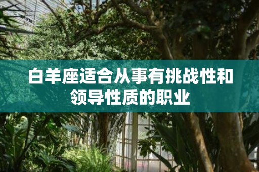 白羊座适合从事有挑战性和领导性质的职业