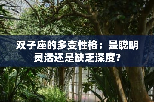 双子座的多变性格：是聪明灵活还是缺乏深度？