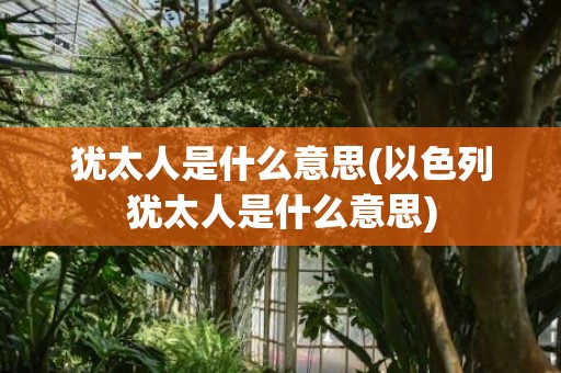 犹太人是什么意思(以色列犹太人是什么意思)