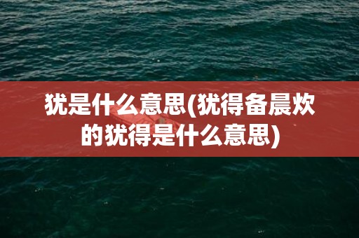 犹是什么意思(犹得备晨炊的犹得是什么意思)