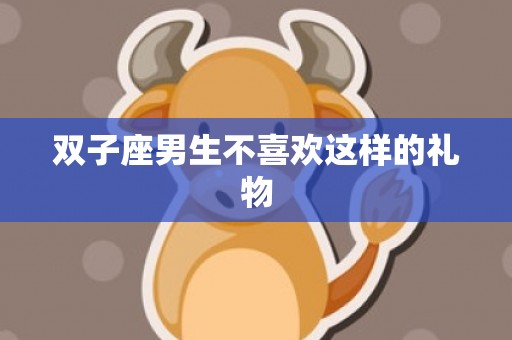 双子座男生不喜欢这样的礼物