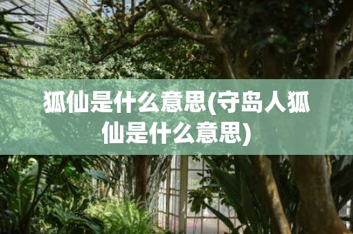 狐仙是什么意思(守岛人狐仙是什么意思)