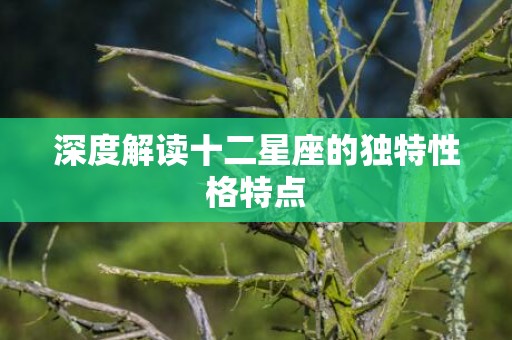 深度解读十二星座的独特性格特点