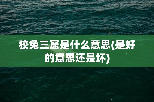 狡兔三窟是什么意思(是好的意思还是坏)